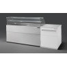 COMPTOIR VITRINE REFRIGERE VENTLE (940 MM), VITRES DROITES, L 1802 MM KPK0818VD1M TECNODOM