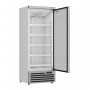 FRIGO MURAL AVEC PORTE VITREE BATTANTE, 600 L LSBS0600TN COMBISTEEL